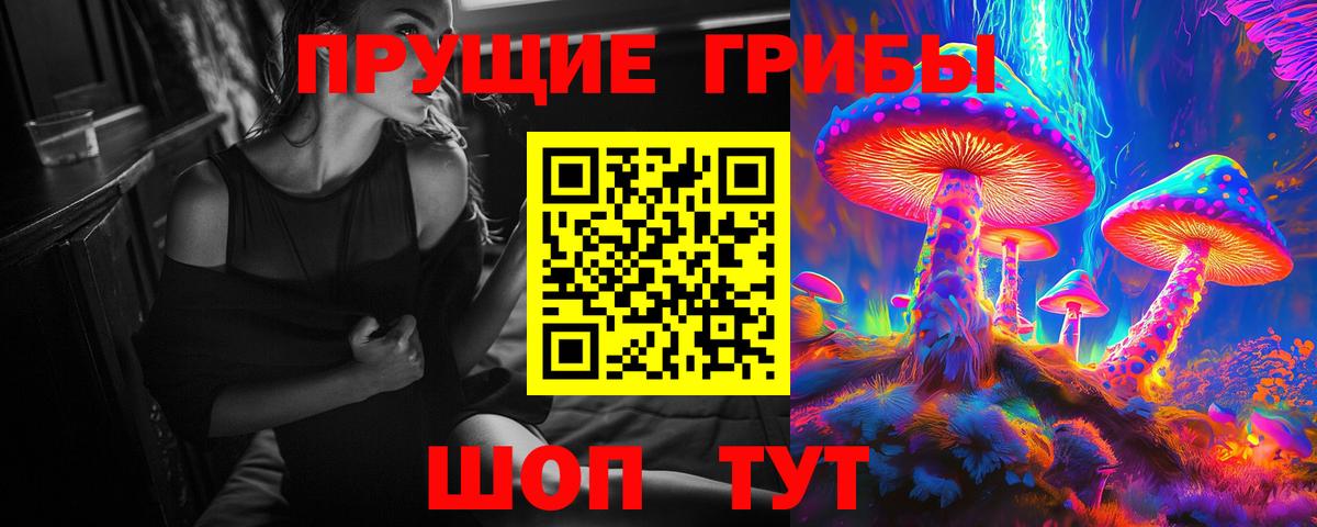 Каменка  Галлюциногенные грибы ЛСД  Псилоцибиновые грибы MAGIC MUSHROOMS  Вход с VPN 